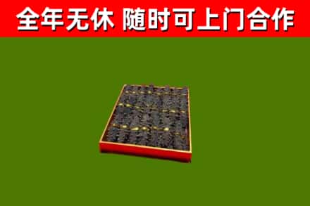 西固回收海参